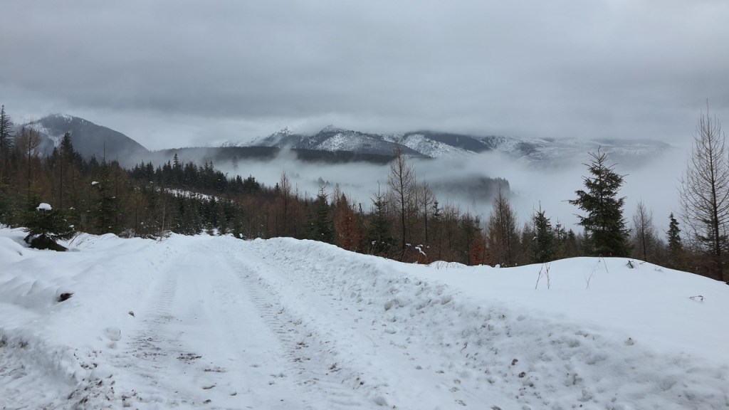 Ein Blick auf ein stark verschneites Tal mit Bäumen und Wolken (© Cornelia Hebrank, 2024)