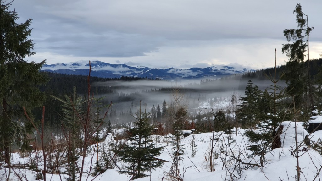 Rückblick auf 2025 – und neues Jahr, neue&nbsp;Chance?