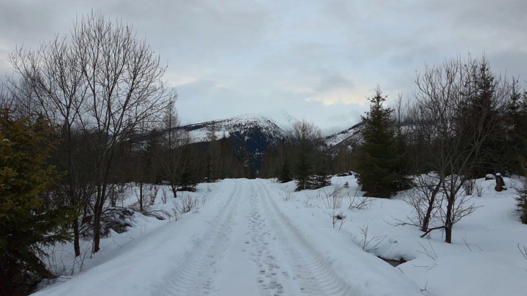 Blick auf die Berge über dem verschneiten Weg (© Cornelia Hebrank, 2024)
