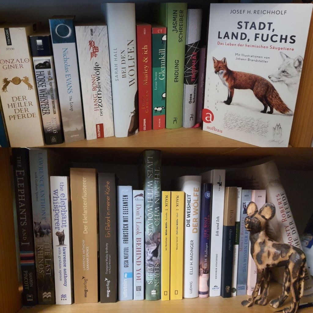 Ein Ausschnitt aus meinem Bücherregal mit einigen thematisch passenden Büchern