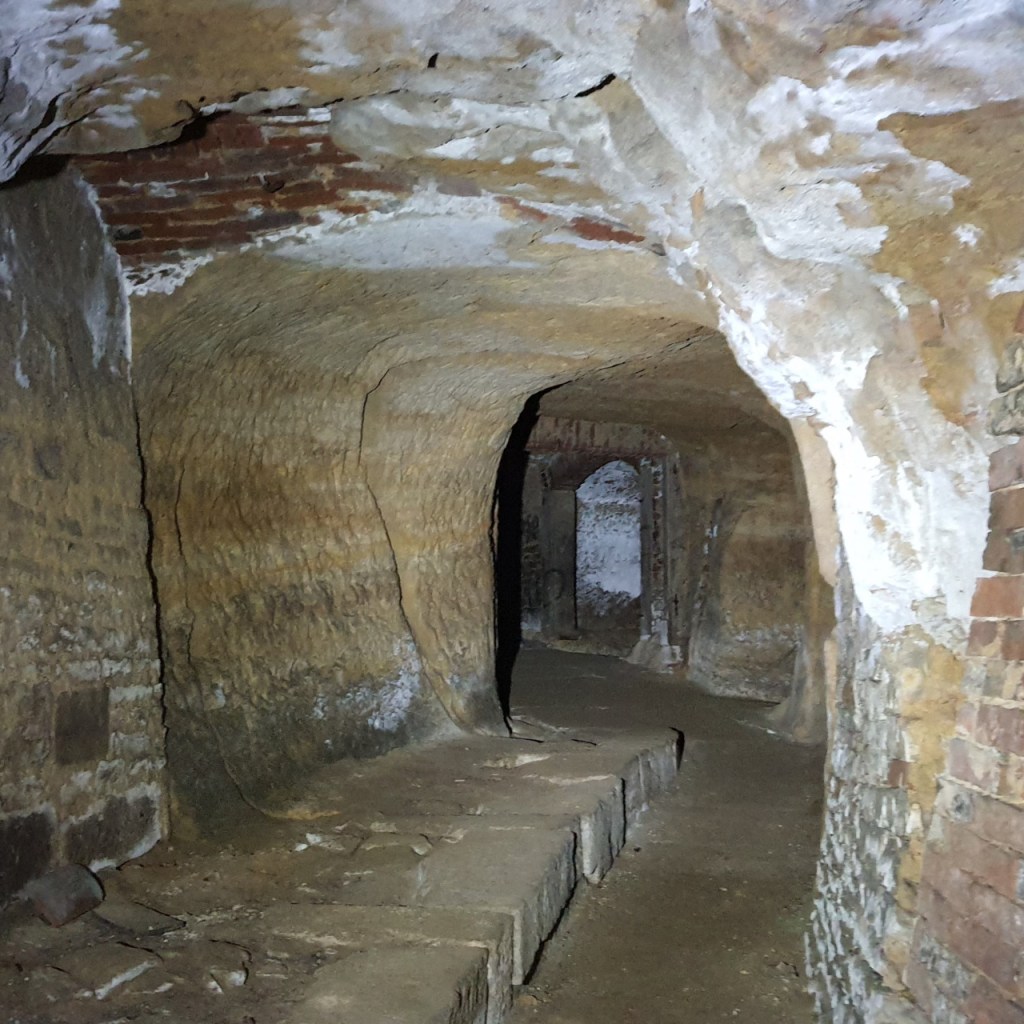 Blick in ein Winterquartier, einen alten Bierkeller (© Cornelia Hebrank, 2025)