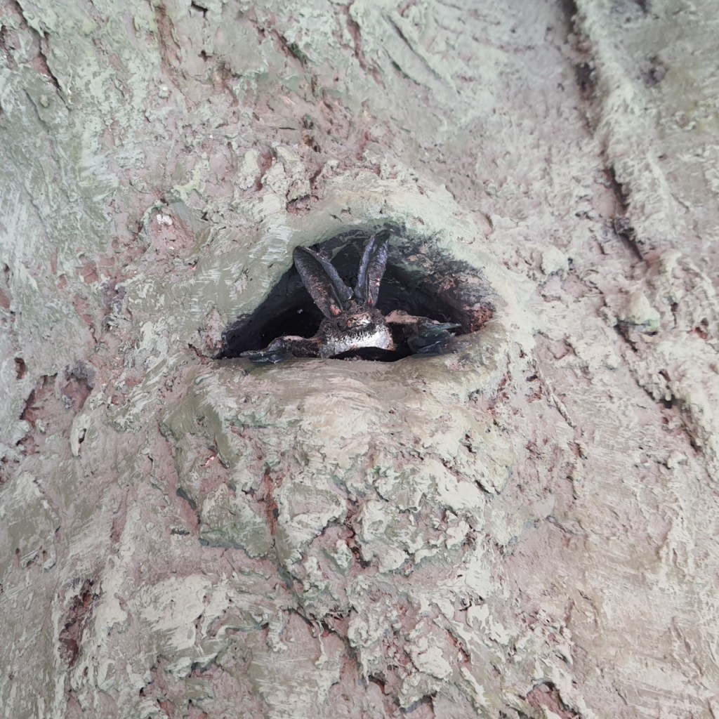 Fledermäuse Teil 3: Jäger der&nbsp;Nacht