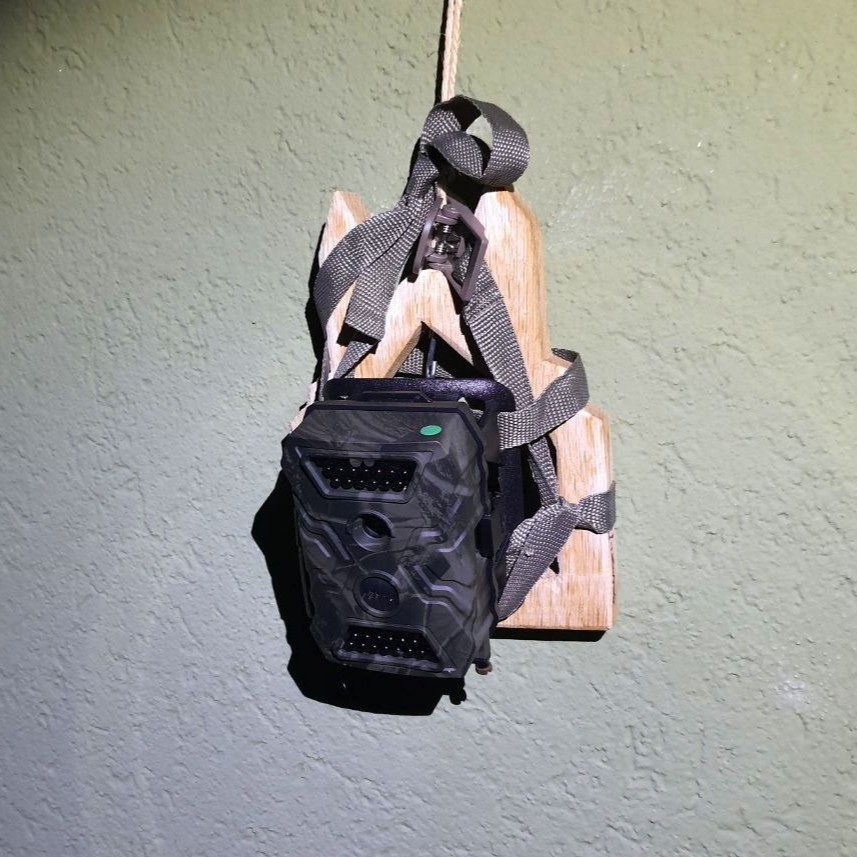 Technik im Detail: Kamerafallen – bitte&nbsp;lächeln!