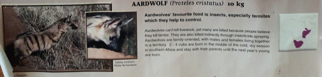 Ausschnitt eines Posters zu Hyänen - Erdwolf/Aardwolf