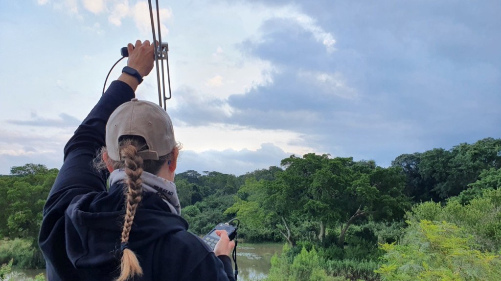 Technik im Detail: Telemetrie – an die&nbsp;Antenne!