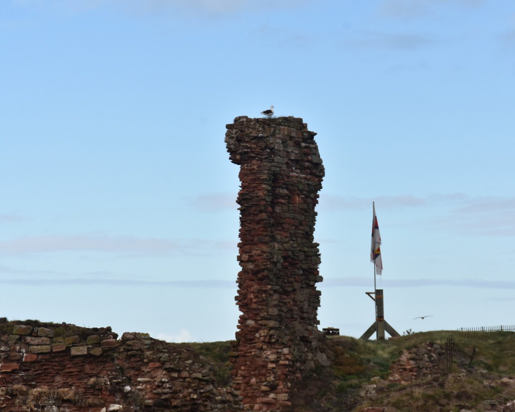 Ein Stück restliche Mauer, die noch steht (© Cornelia Hebrank, 2025)