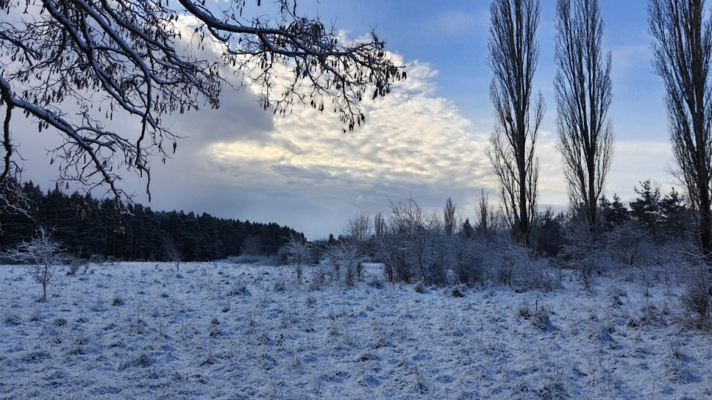 Eine Winterlandschaft im Schnee (© Cornelia Hebrank, 2026)