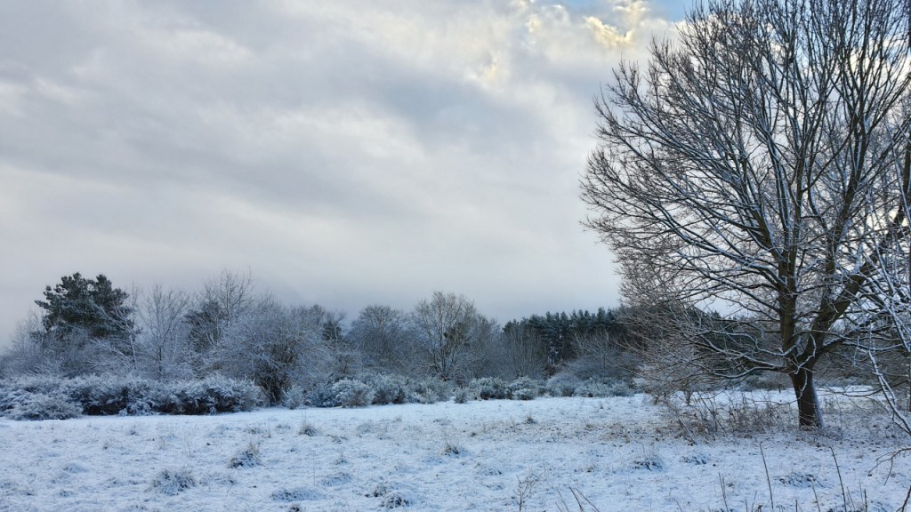 Blick auf eine verschneite Winterlandschaft (© Cornelia Hebrank, 2026)
