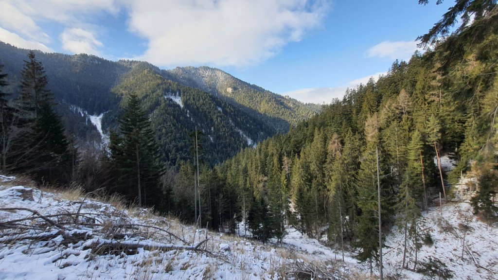 Ein Blick über ein verschneites Tal (© Cornelia Hebrank, 2024)