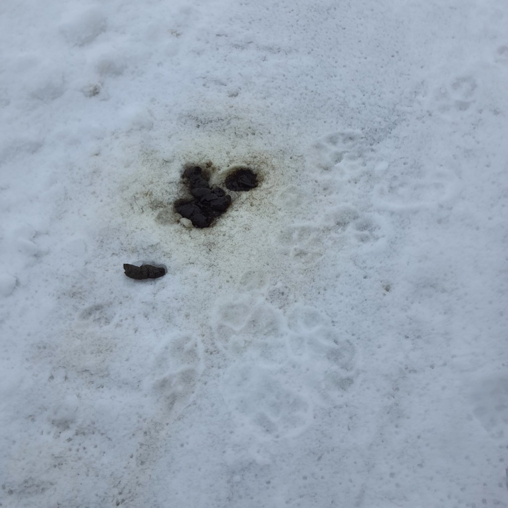 Technik im Detail: Genetische Analysen – ab ins&nbsp;Labor!