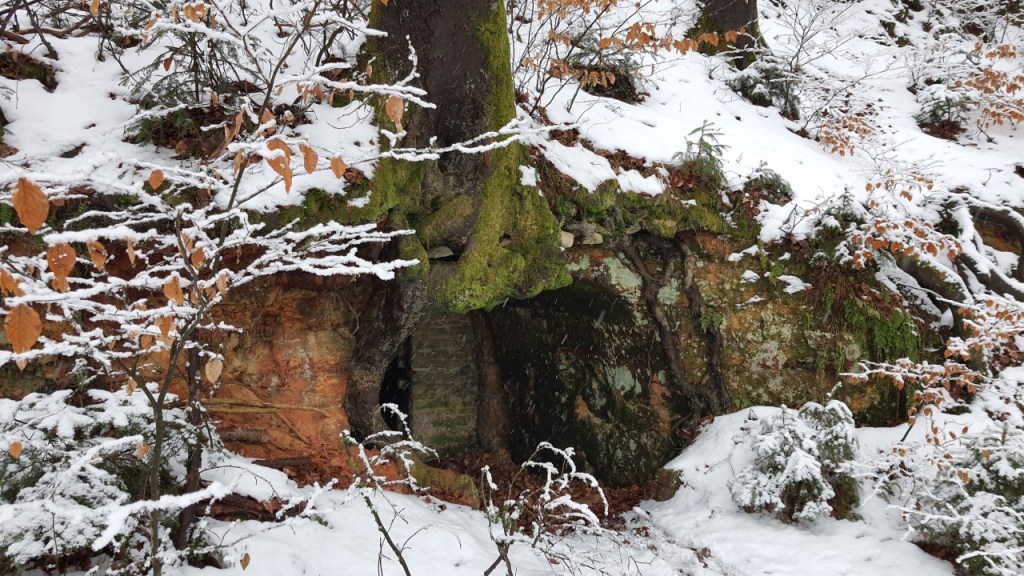 Ein hübscher Höhleneingang unter einem Baum (© Cornelia Hebrank, 2026)