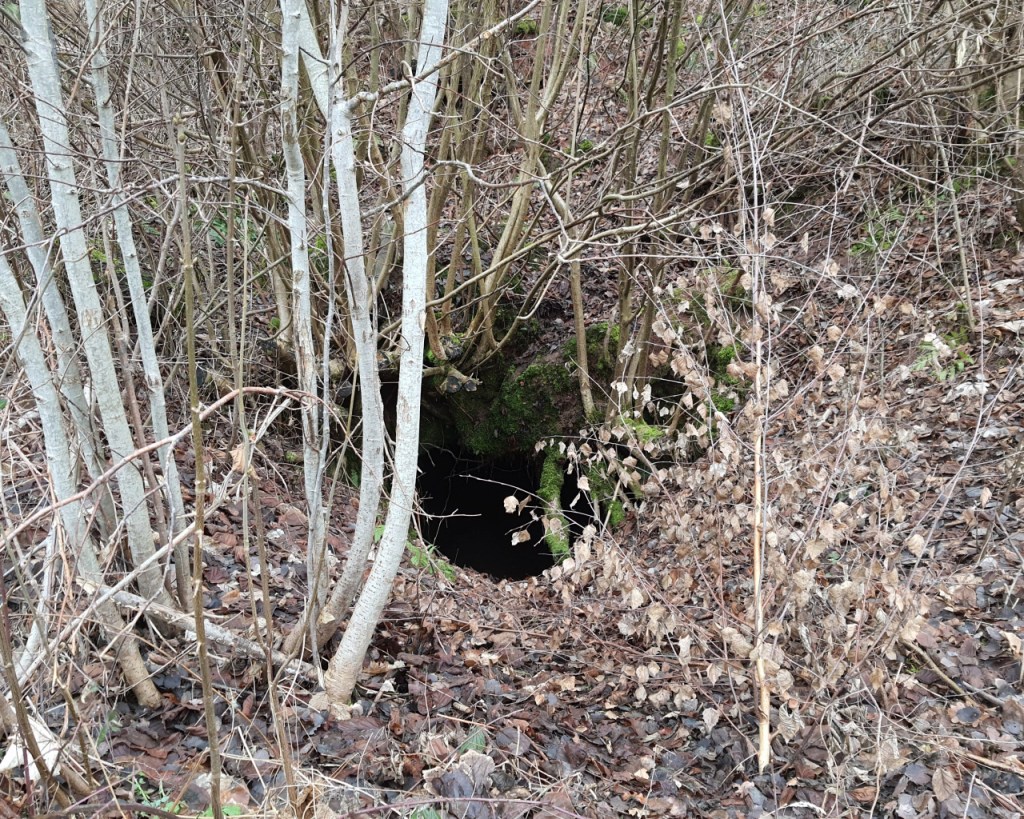 Ein Loch in der Seite des Hügels ist der Höhleneingang (© Cornelia Hebrank, 2026)
