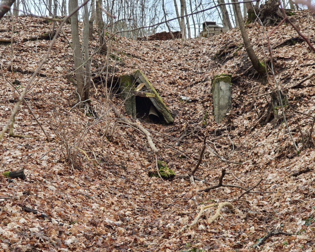 Ein eingefallener Eingang (© Cornelia Hebrank, 2026)