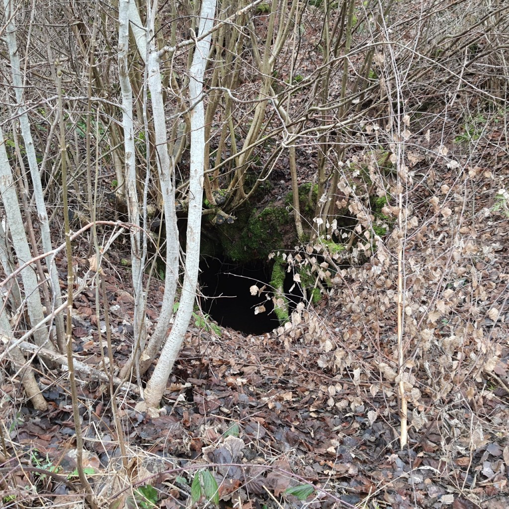 Blick auf einen Höhleneingang (© Cornelia Hebrank, 2026)