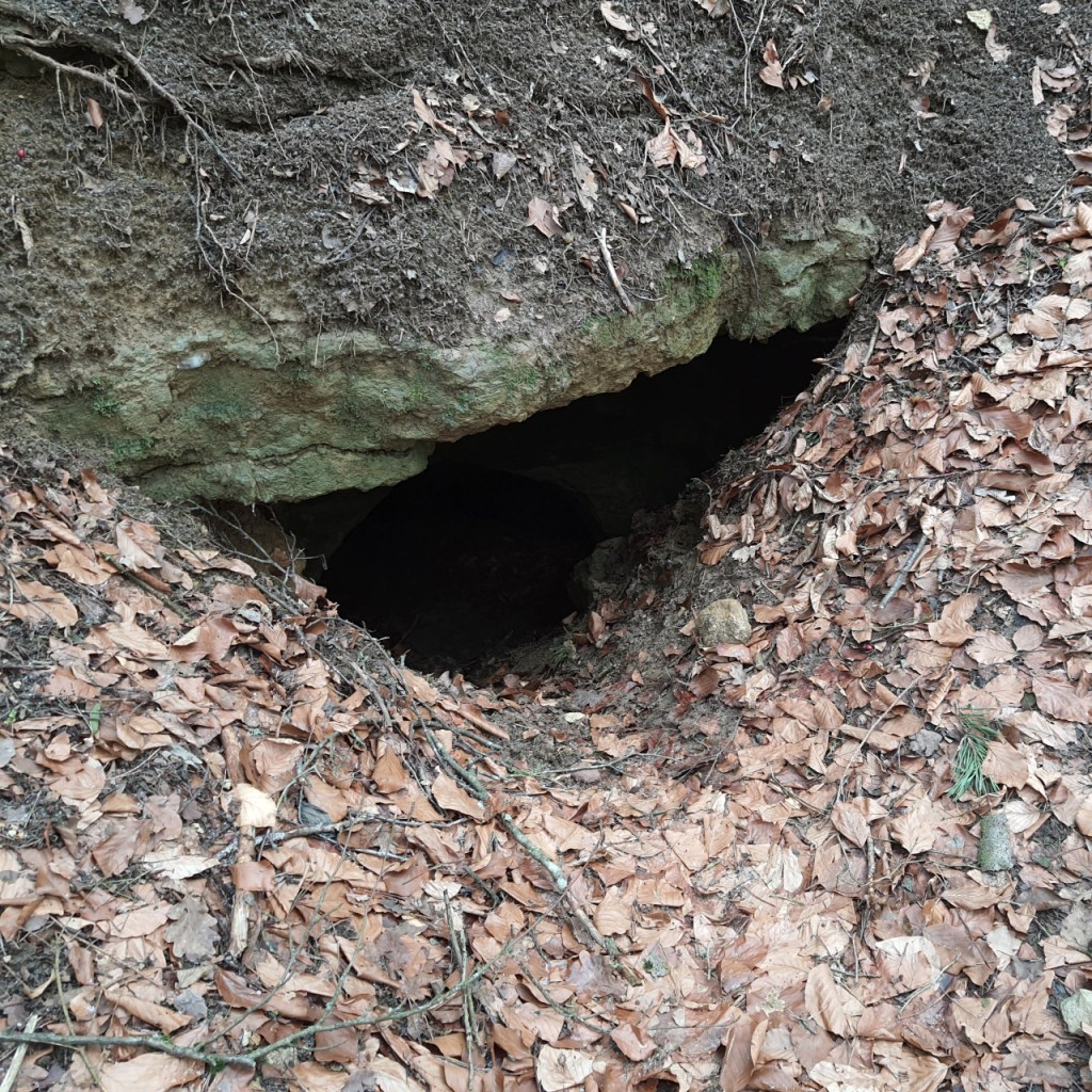 Blick auf einen Höhleneingang (© Cornelia Hebrank, 2026)