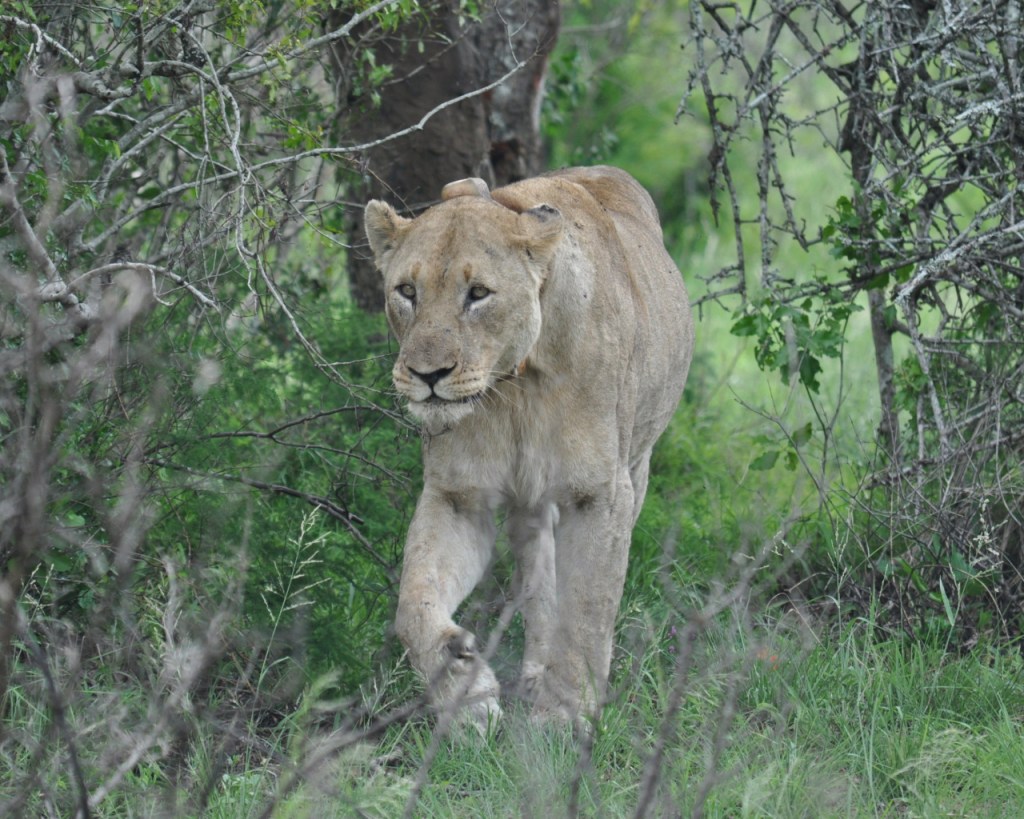 Technik im Detail: Traditionelle Tools und die Arbeit mit&nbsp;Daten