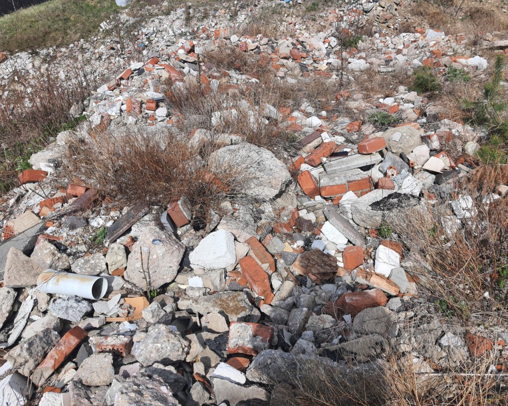 Lebensraum in der Mülldeponie (© Cornelia Hebrank, 2026)