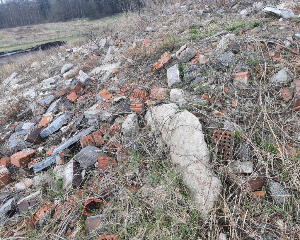 Lebensraum in der Mülldeponie (© Cornelia Hebrank, 2026)